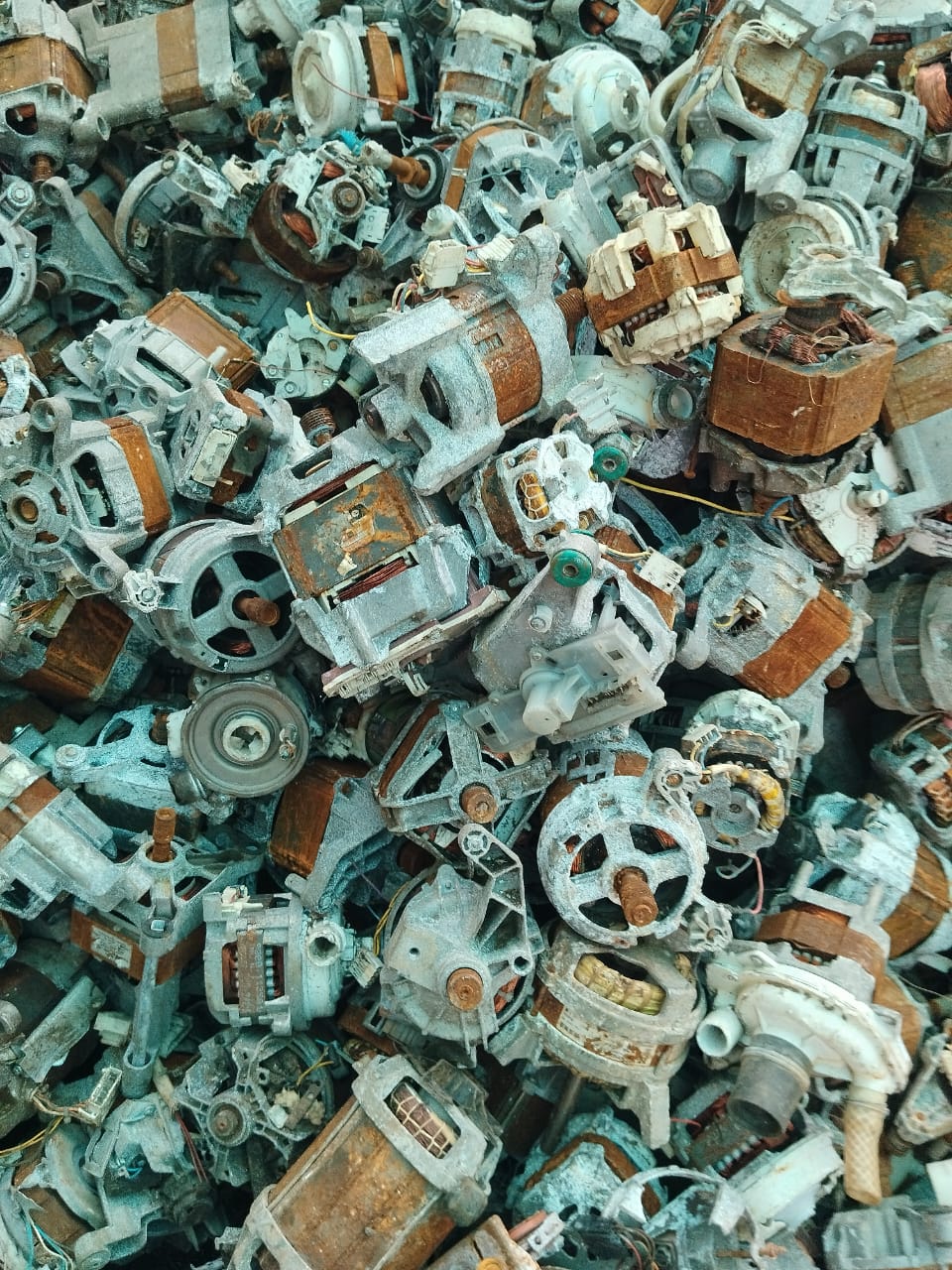 Washing Machine Motor